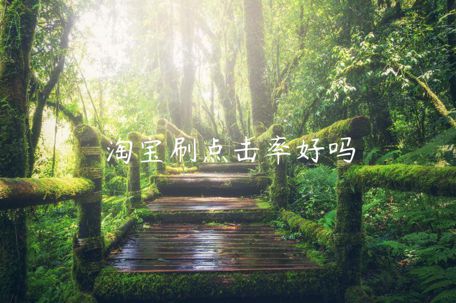 淘寶刷點(diǎn)擊率好嗎